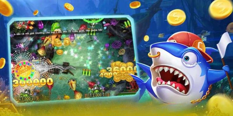 Bet thủ phải biết quản lý nguồn vốn của bản thân khi tham gia