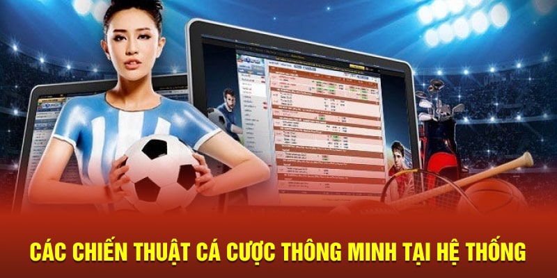 Các chiến thuật cá cược thông minh tại hệ thống